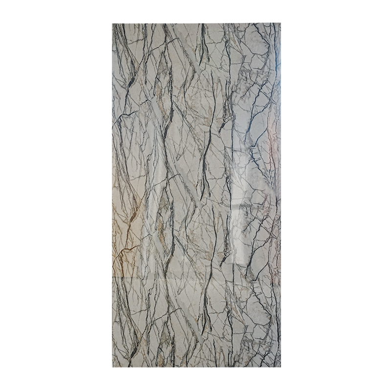 Elegant Stone-patterned UV Coated Panel